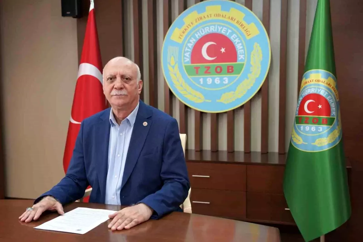 Temmuz’da En Çok Limonun Fiyatı Arttı